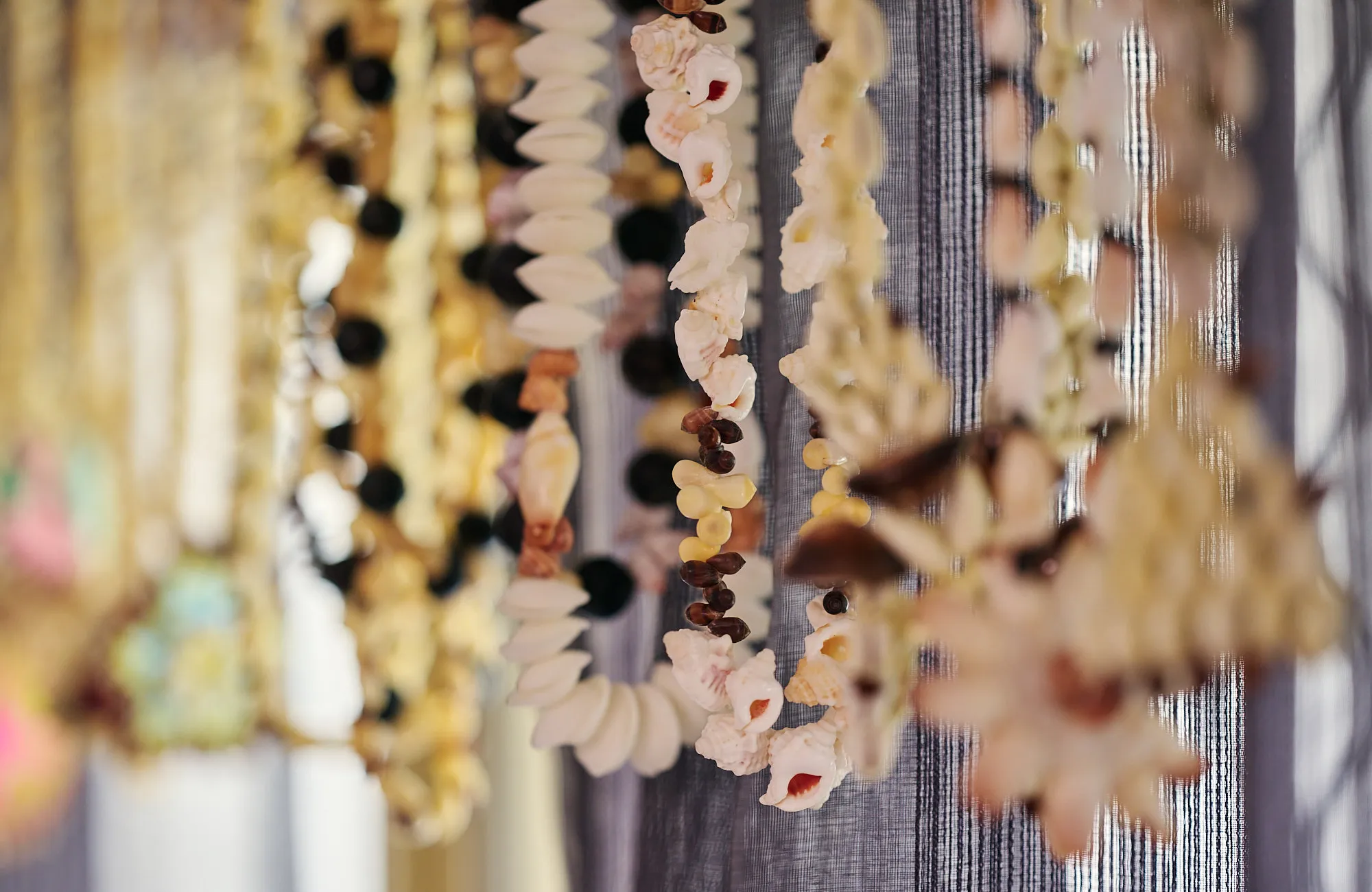 Shells